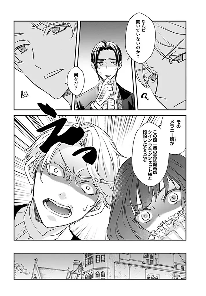 宮廷魔術師の婚約者 第1.1話 - 12