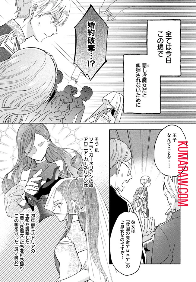 らすぼす魔女は堅物従者と戯れる 第1.1話 - 11