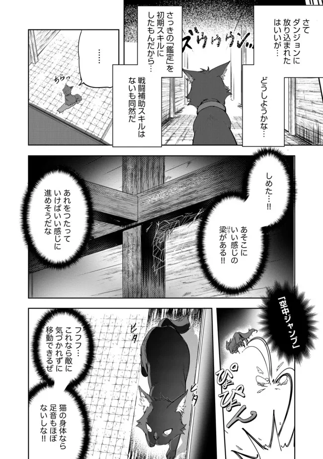 猫に転生したけど、暇なのでゲーマー女子と一緒にＶＲＭＭＯをする 第3.1話 - 6