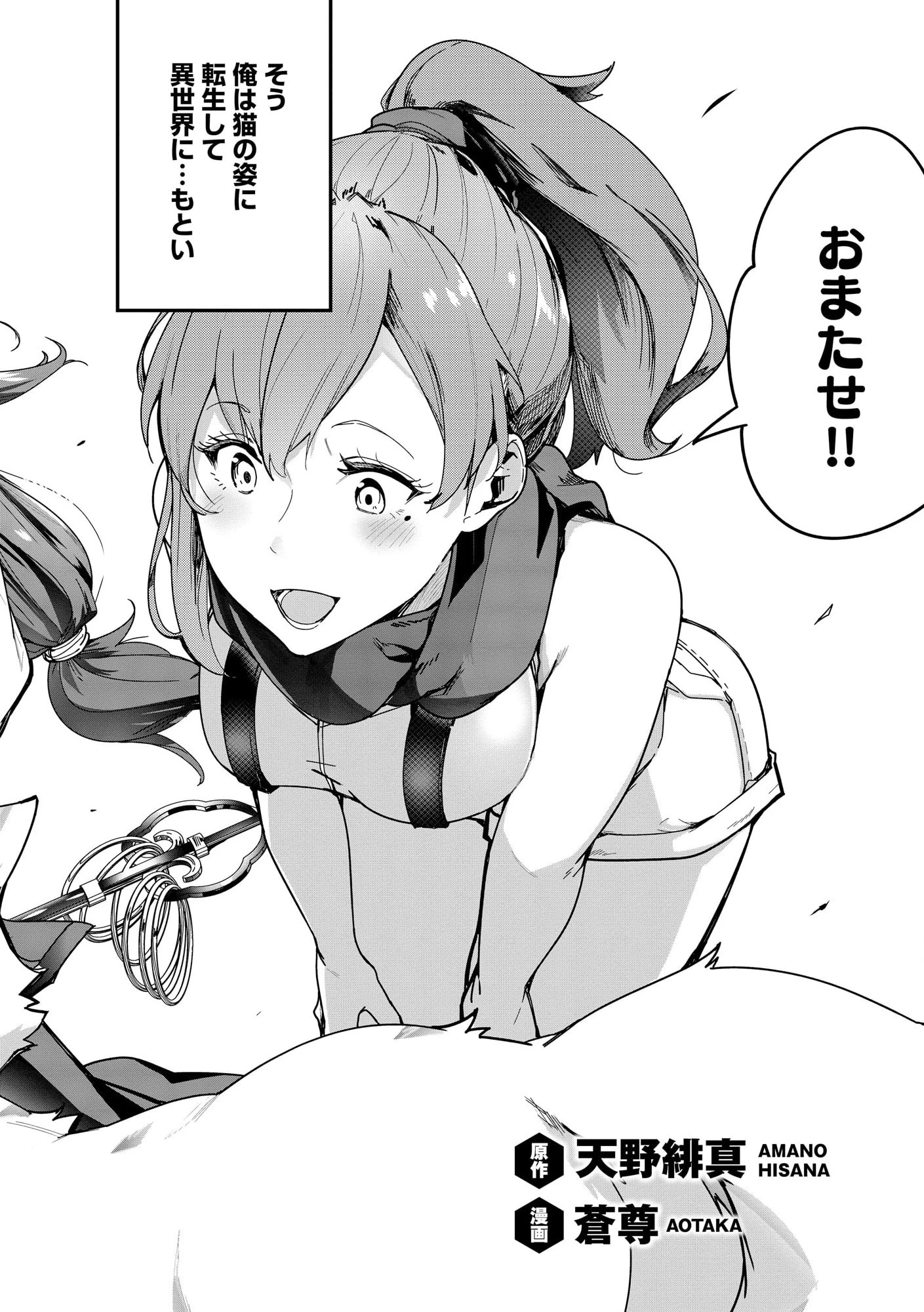 猫に転生したけど、暇なのでゲーマー女子と一緒にＶＲＭＭＯをする 第1.1話 - 3