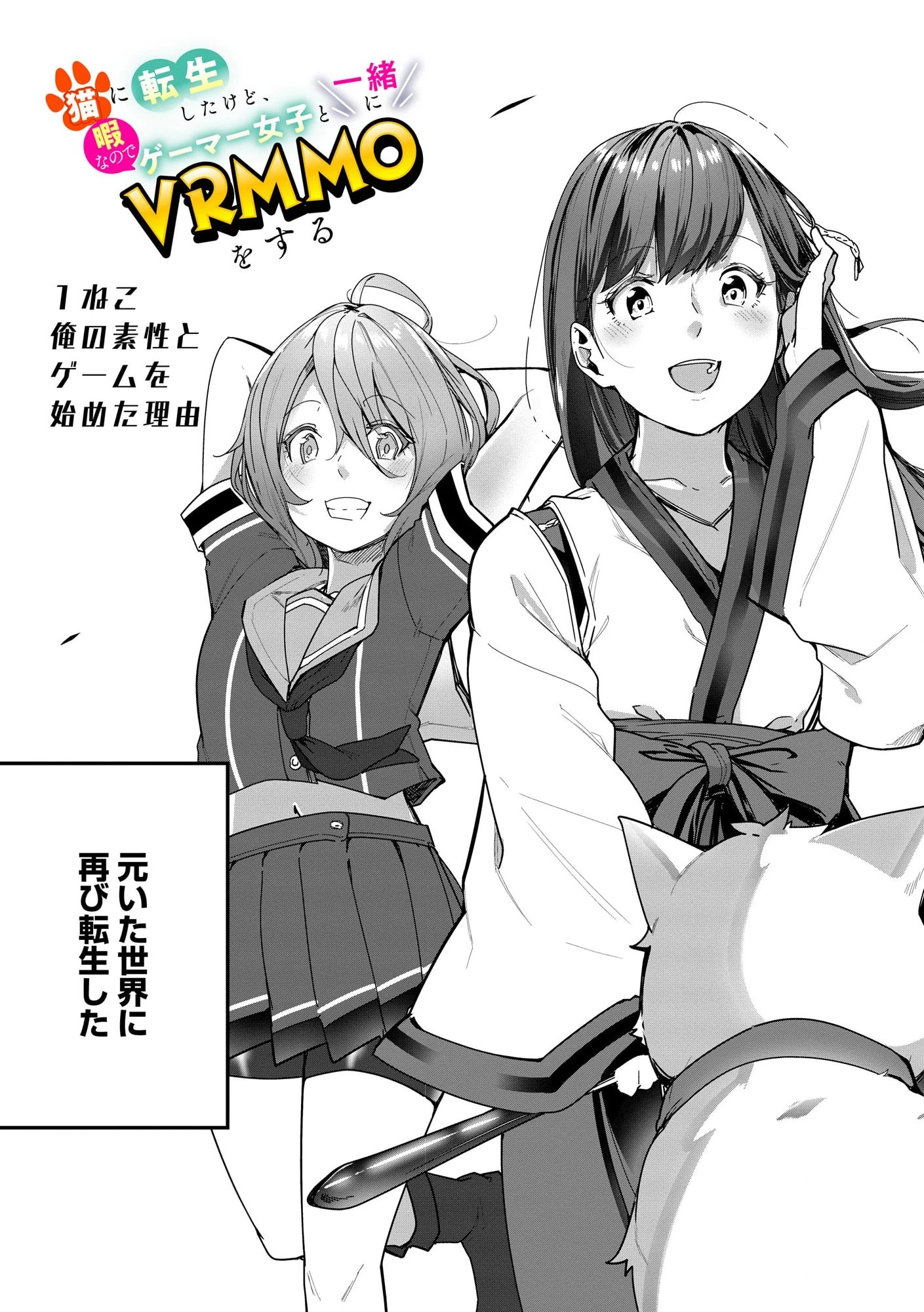 猫に転生したけど、暇なのでゲーマー女子と一緒にＶＲＭＭＯをする 第1.1話 - 4
