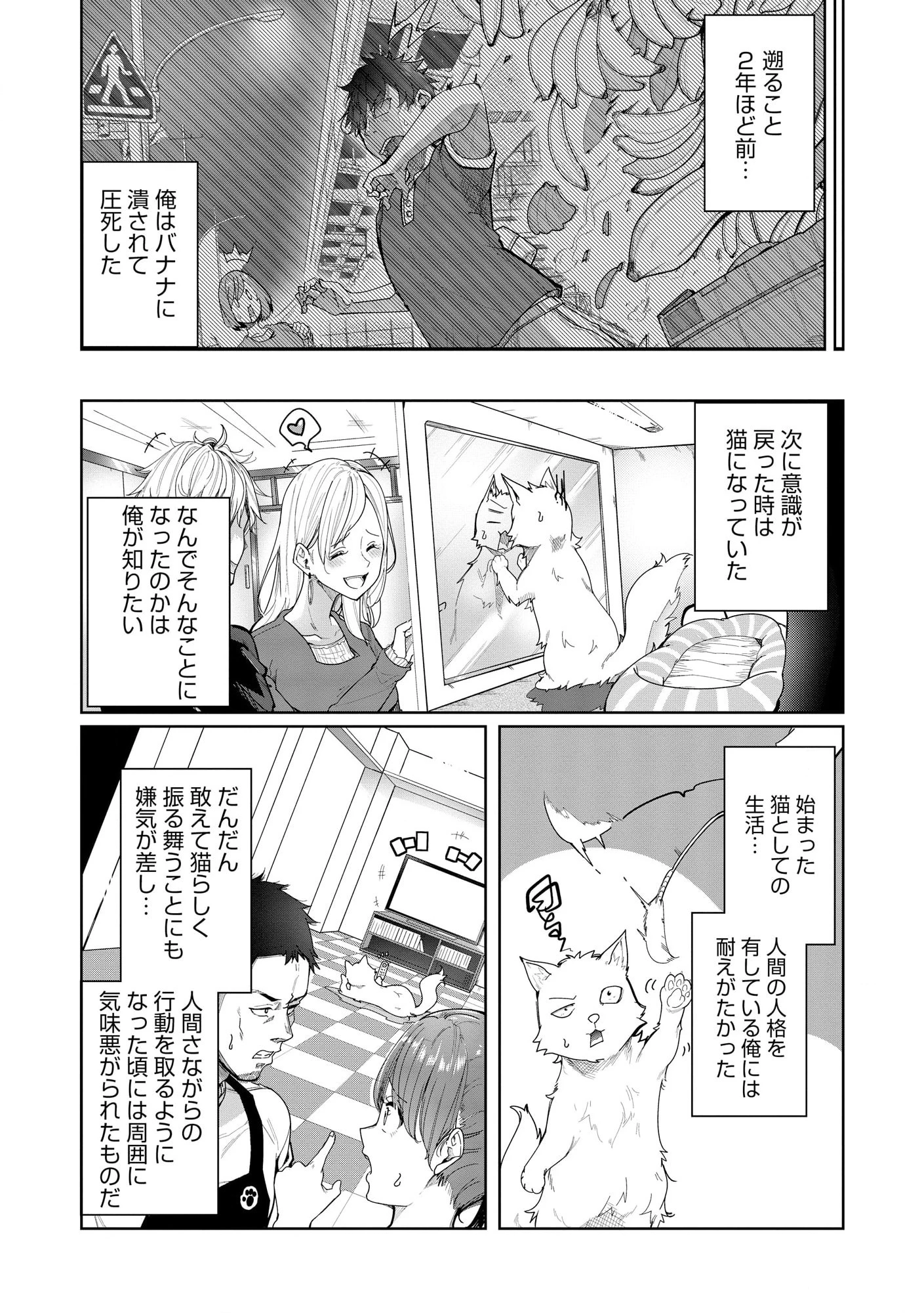 猫に転生したけど、暇なのでゲーマー女子と一緒にＶＲＭＭＯをする 第1.1話 - 5