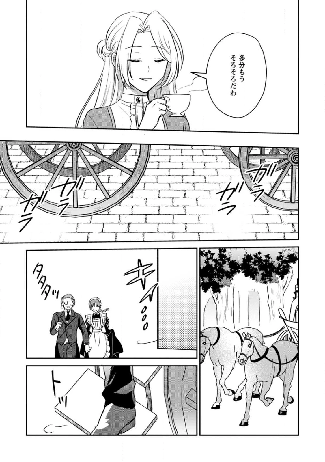 淑女の鑑やめました。時を逆行した公爵令嬢は、わがままな妹に振り回されないよう性格悪く生き延びます！ 第12.3話 - 9
