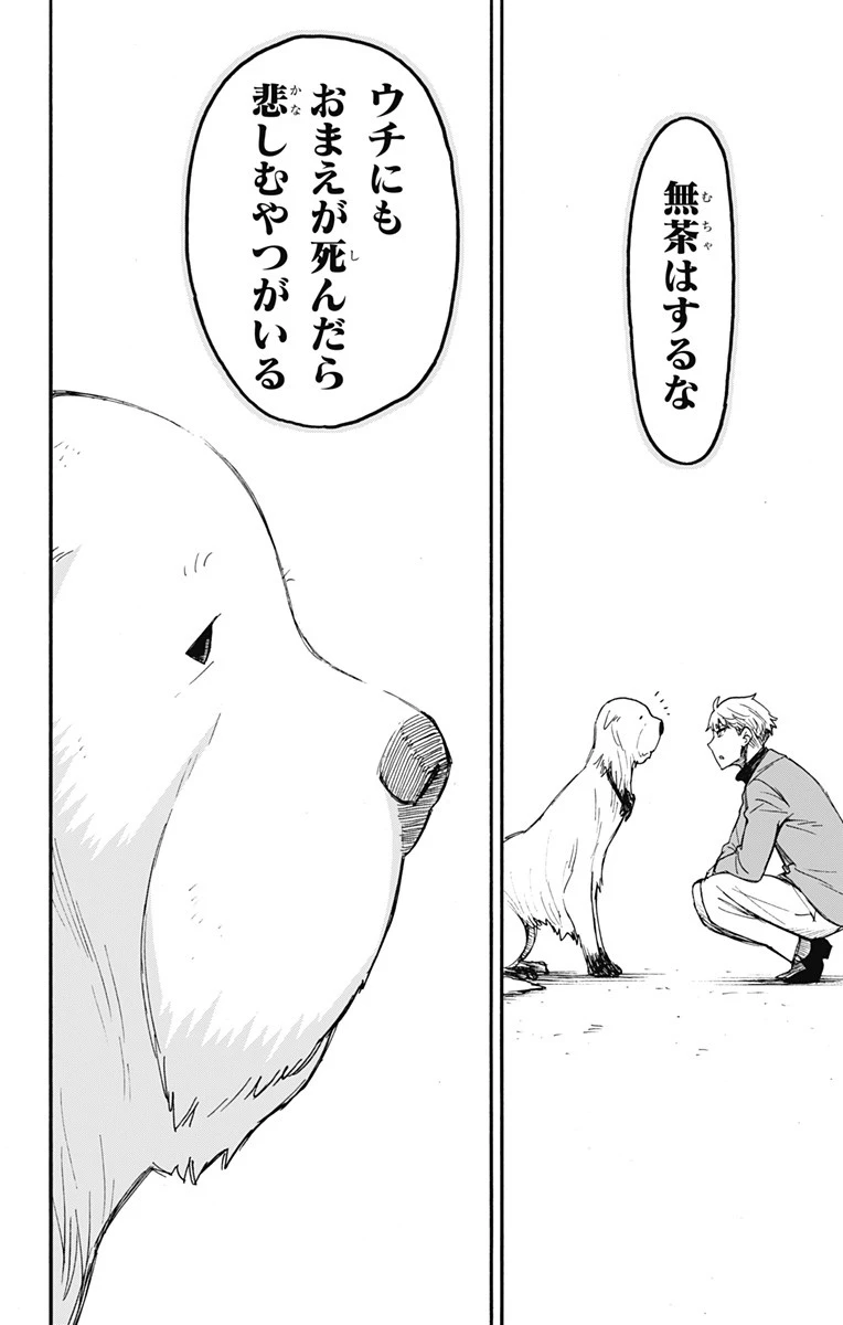 スパイファミリー 第58.2話 - 14