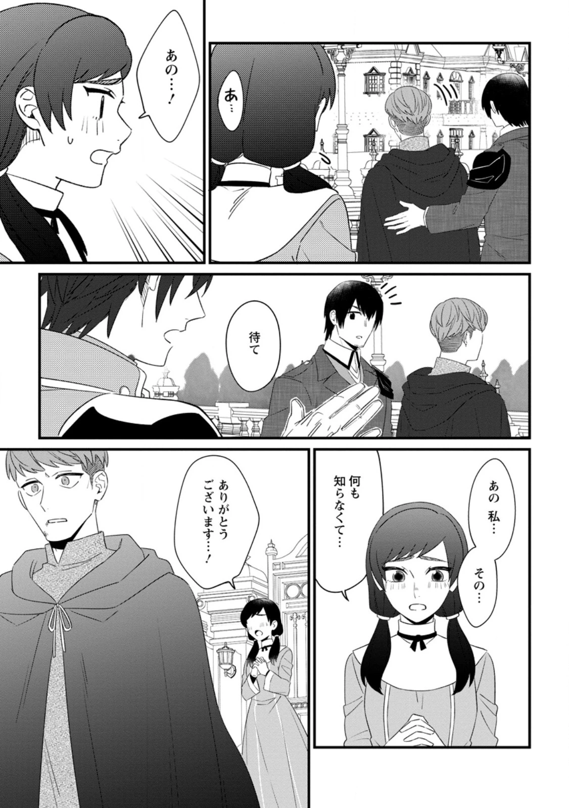 王妃になる予定でしたが、偽聖女の汚名を着せられたので逃亡したら、皇太子に溺愛されました。そちらもどうぞお幸せに。 第30.1話 - 3