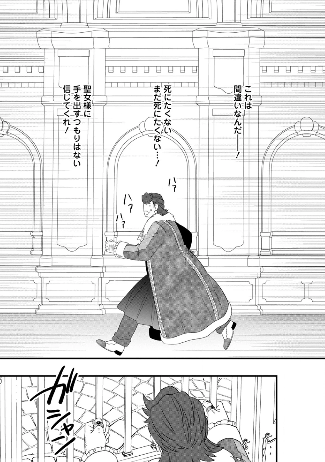 王妃になる予定でしたが、偽聖女の汚名を着せられたので逃亡したら、皇太子に溺愛されました。そちらもどうぞお幸せに。 第28.3話 - 9