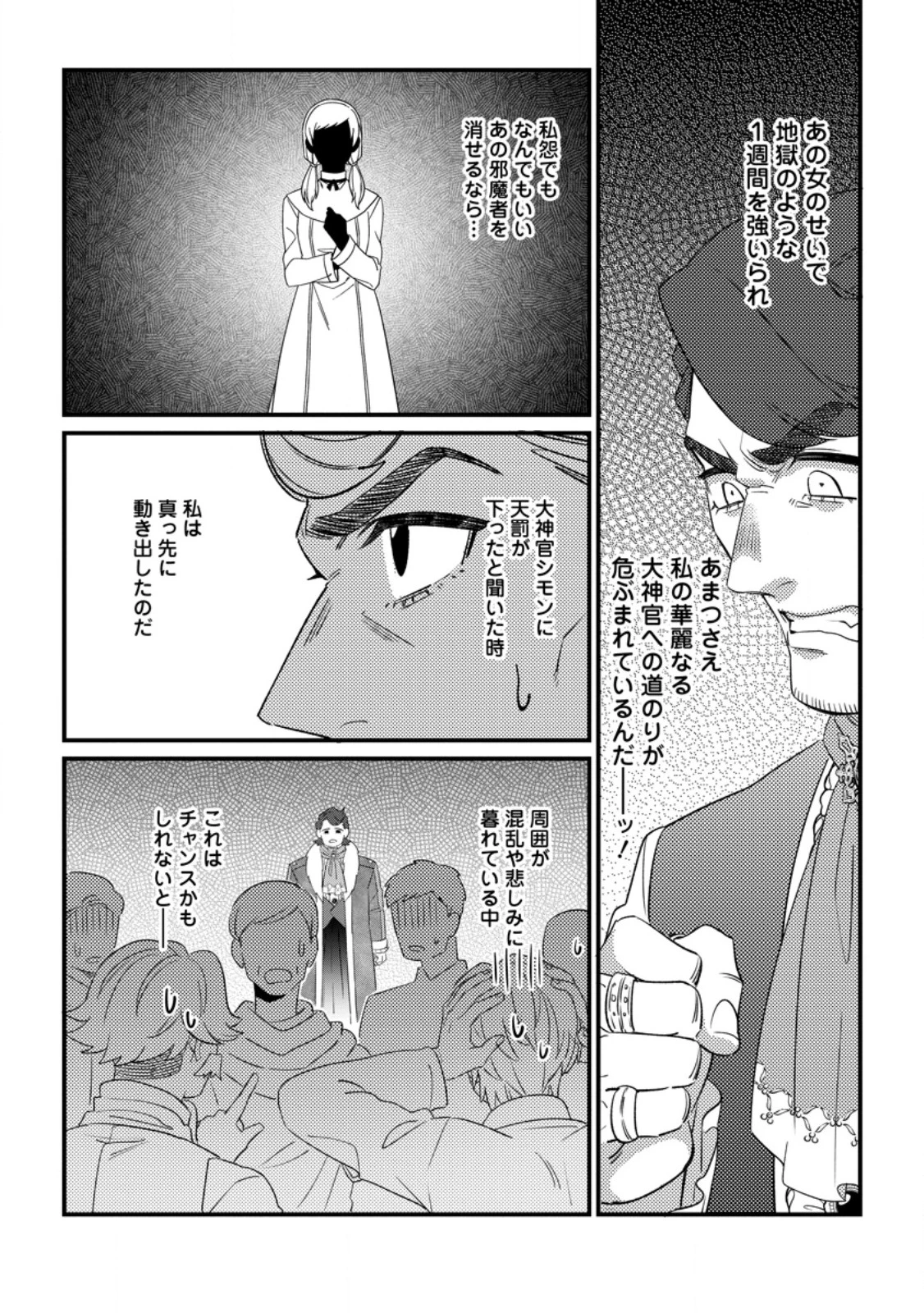 王妃になる予定でしたが、偽聖女の汚名を着せられたので逃亡したら、皇太子に溺愛されました。そちらもどうぞお幸せに。 第27.1話 - 4
