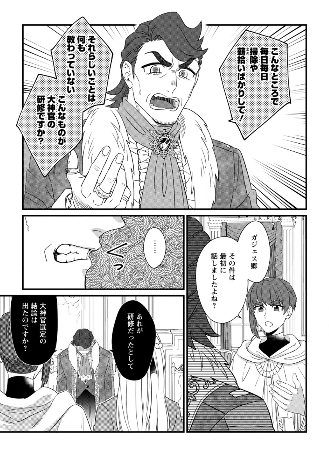 王妃になる予定でしたが、偽聖女の汚名を着せられたので逃亡したら、皇太子に溺愛されました。そちらもどうぞお幸せに。 第27.1話 - 7