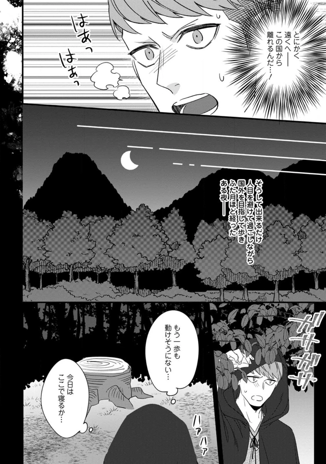 王妃になる予定でしたが、偽聖女の汚名を着せられたので逃亡したら、皇太子に溺愛されました。そちらもどうぞお幸せに。 第24.1話 - 4
