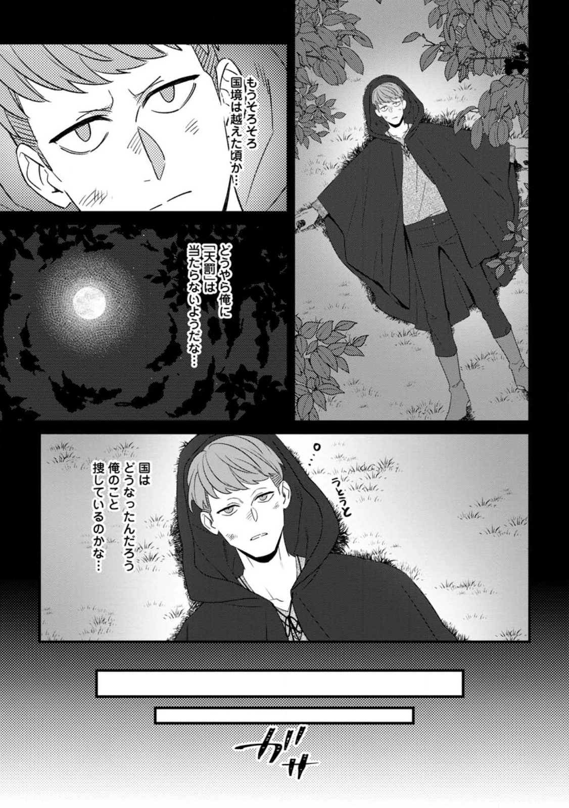 王妃になる予定でしたが、偽聖女の汚名を着せられたので逃亡したら、皇太子に溺愛されました。そちらもどうぞお幸せに。 第24.1話 - 5