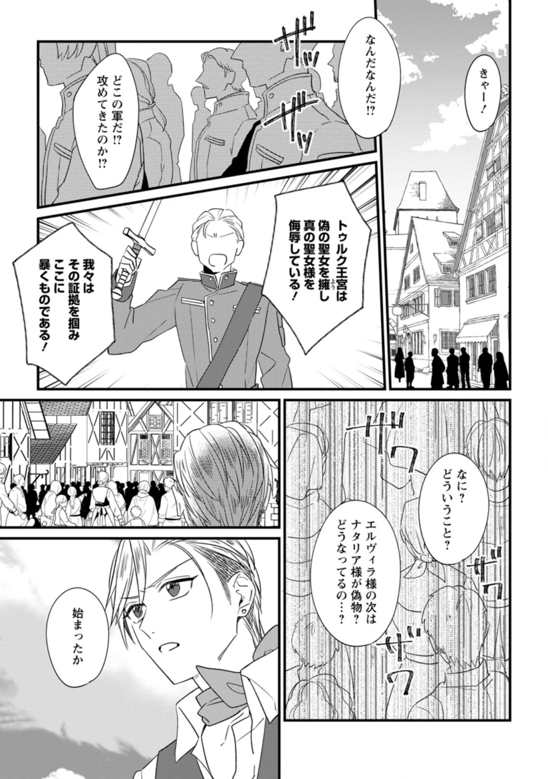 王妃になる予定でしたが、偽聖女の汚名を着せられたので逃亡したら、皇太子に溺愛されました。そちらもどうぞお幸せに。 第14.2話 - 9