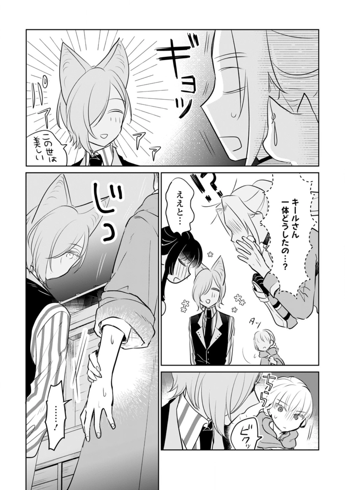 聖女じゃないと追放されたので、もふもふ従者(聖獣)とおにぎりを握る 第33.2話 - 2