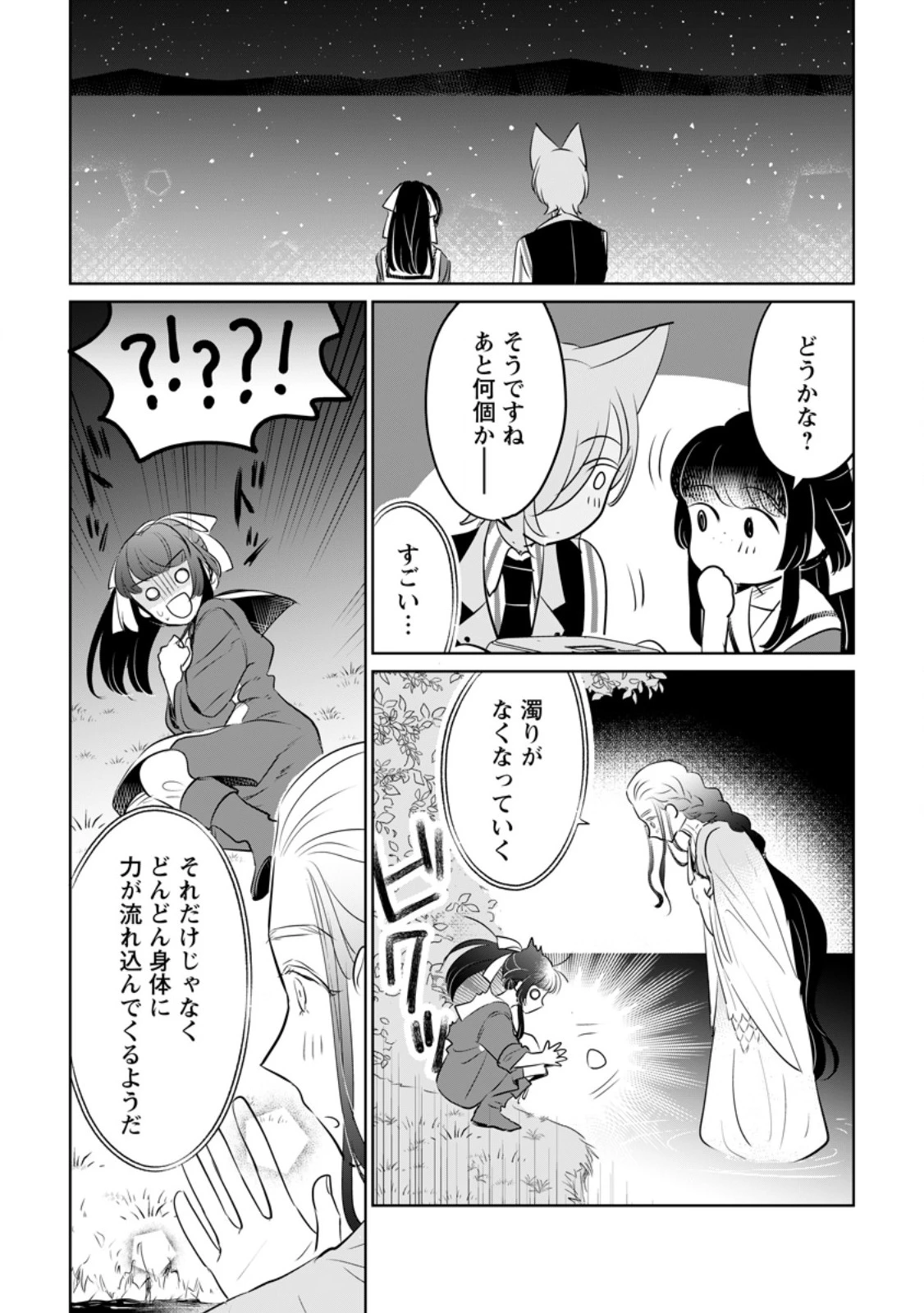 聖女じゃないと追放されたので、もふもふ従者(聖獣)とおにぎりを握る 第33.2話 - 8