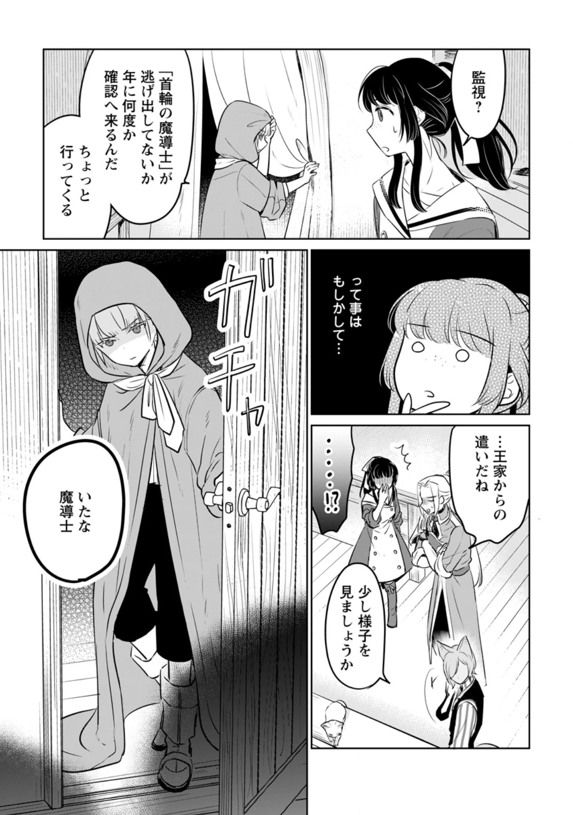 聖女じゃないと追放されたので、もふもふ従者(聖獣)とおにぎりを握る 第32.1話 - 5