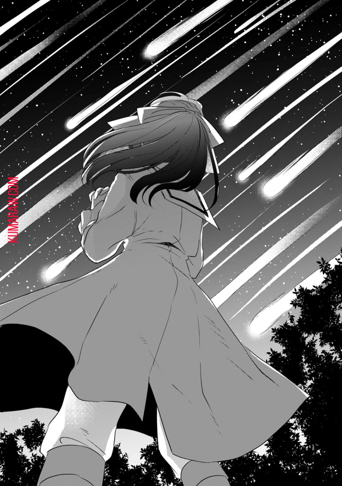 聖女じゃないと追放されたので、もふもふ従者(聖獣)とおにぎりを握る 第30.1話 - 8