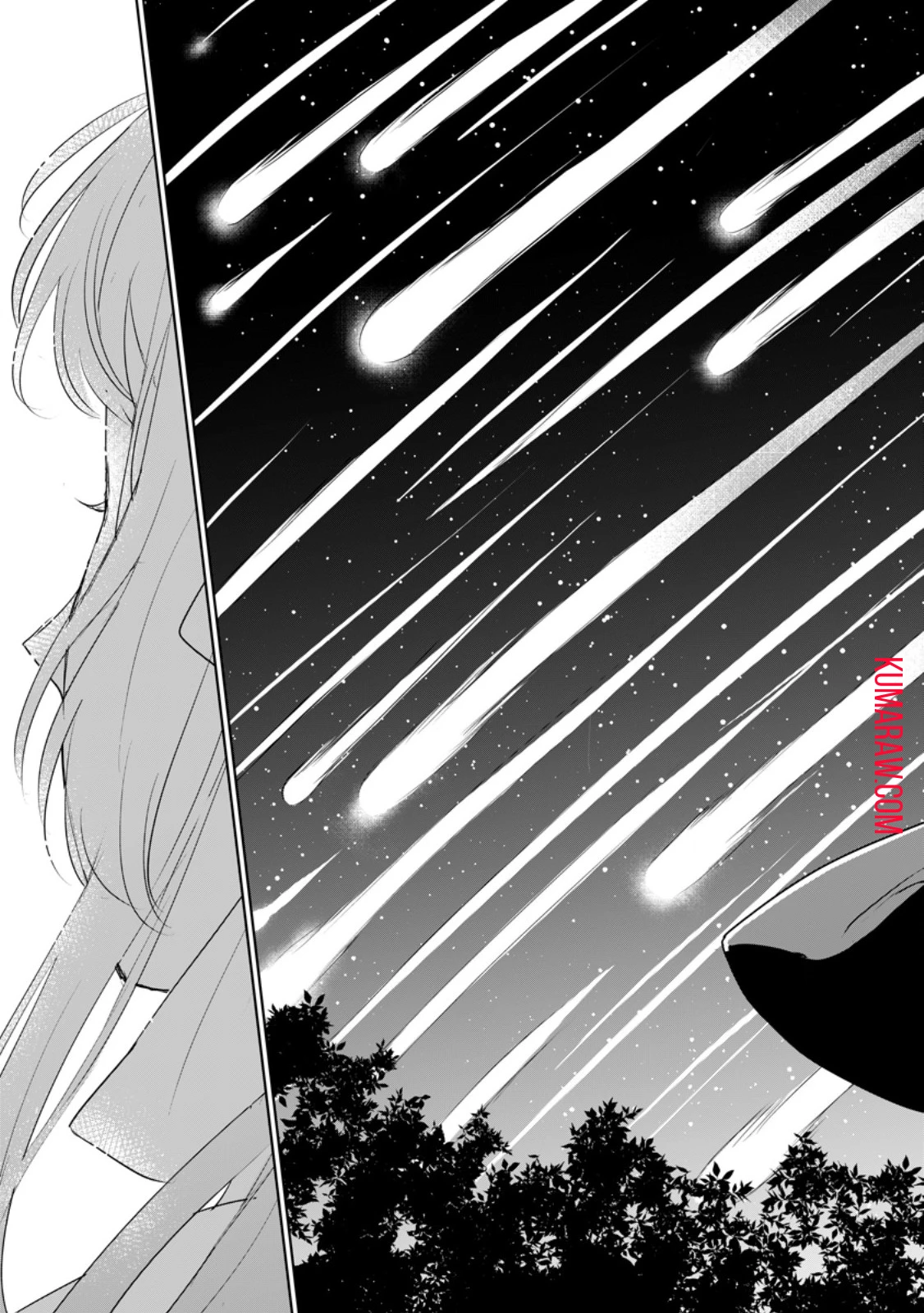 聖女じゃないと追放されたので、もふもふ従者(聖獣)とおにぎりを握る 第30.1話 - 9