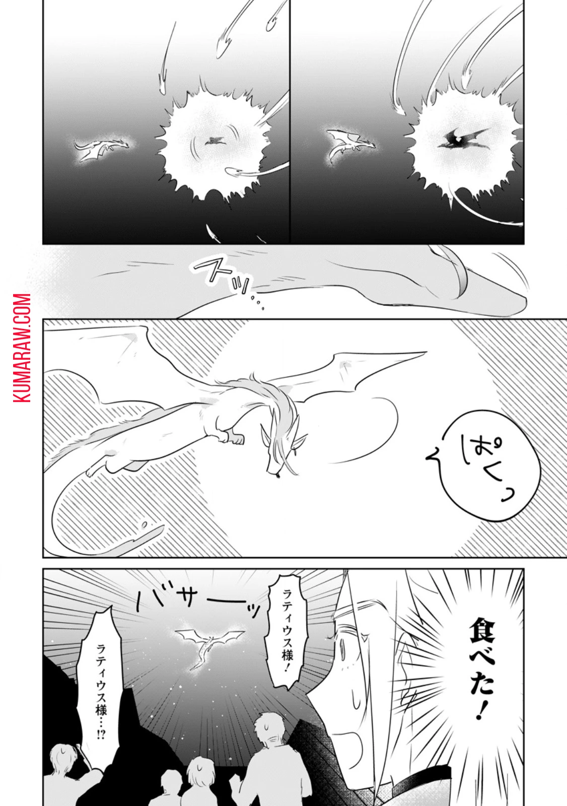 聖女じゃないと追放されたので、もふもふ従者(聖獣)とおにぎりを握る 第30.1話 - 12