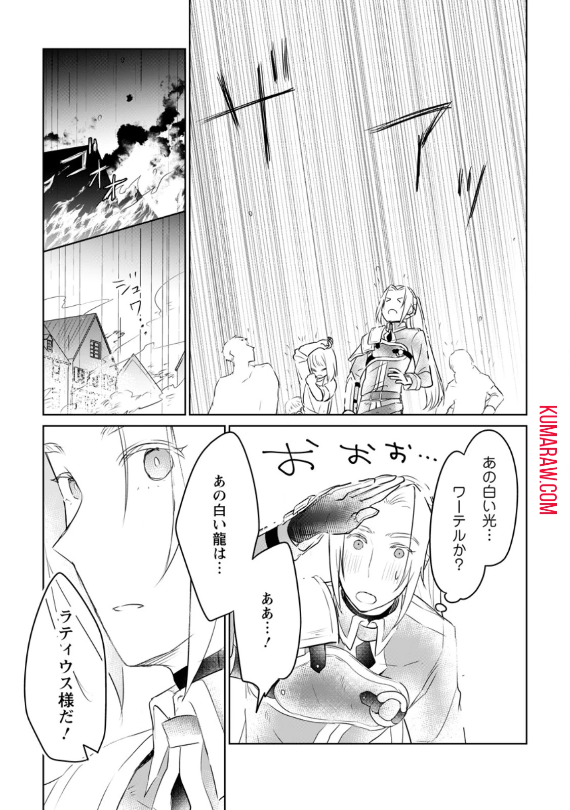 聖女じゃないと追放されたので、もふもふ従者(聖獣)とおにぎりを握る 第29.3話 - 5