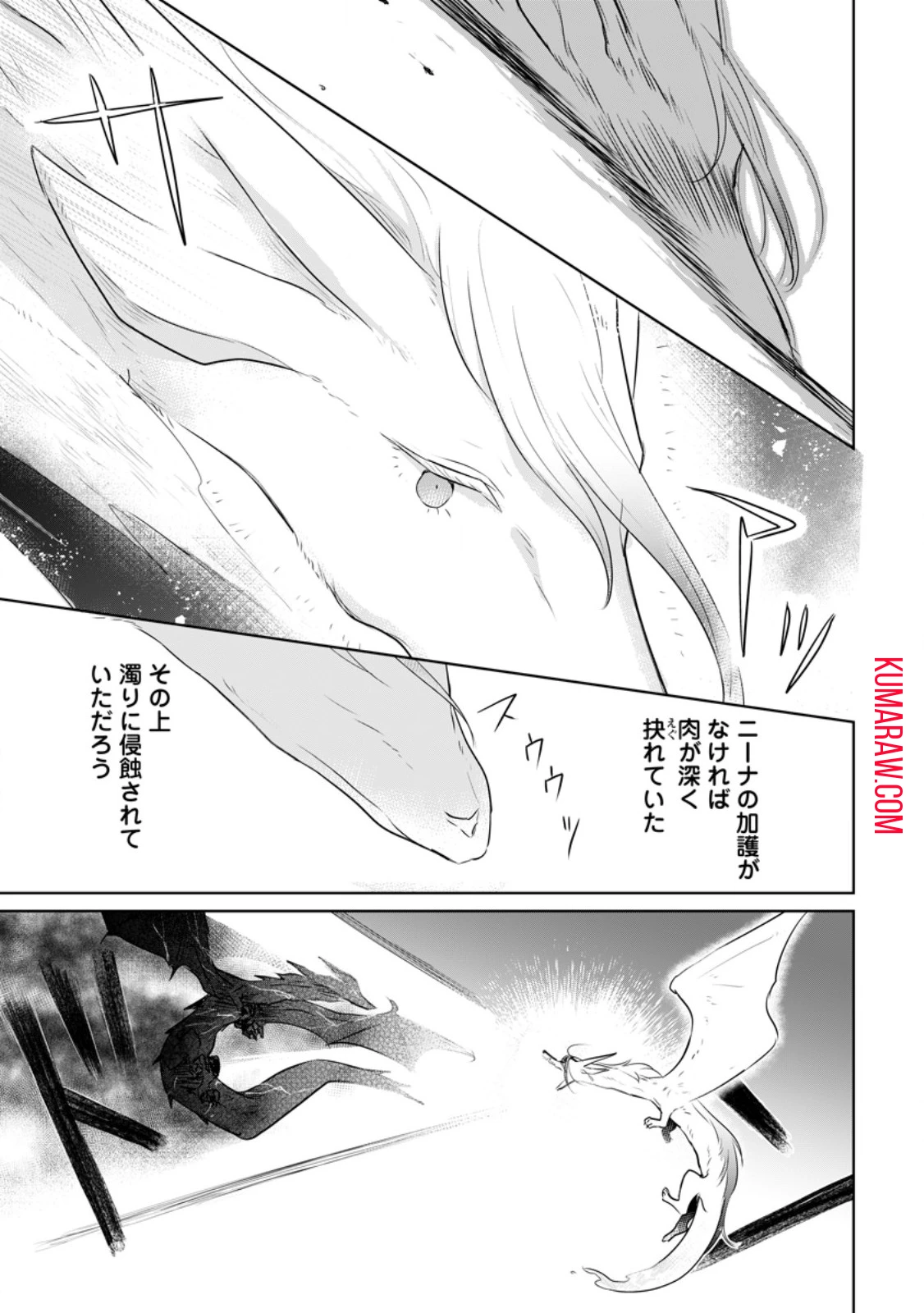 聖女じゃないと追放されたので、もふもふ従者(聖獣)とおにぎりを握る 第29.3話 - 9