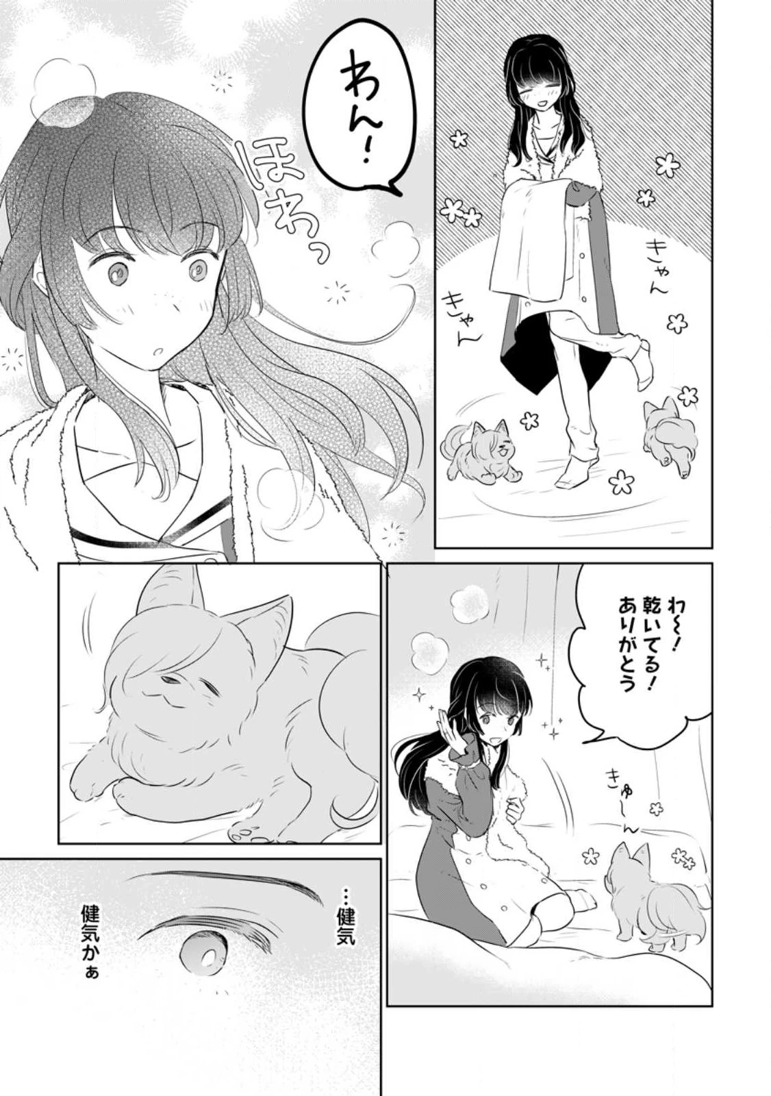 聖女じゃないと追放されたので、もふもふ従者(聖獣)とおにぎりを握る 第23.1話 - 11