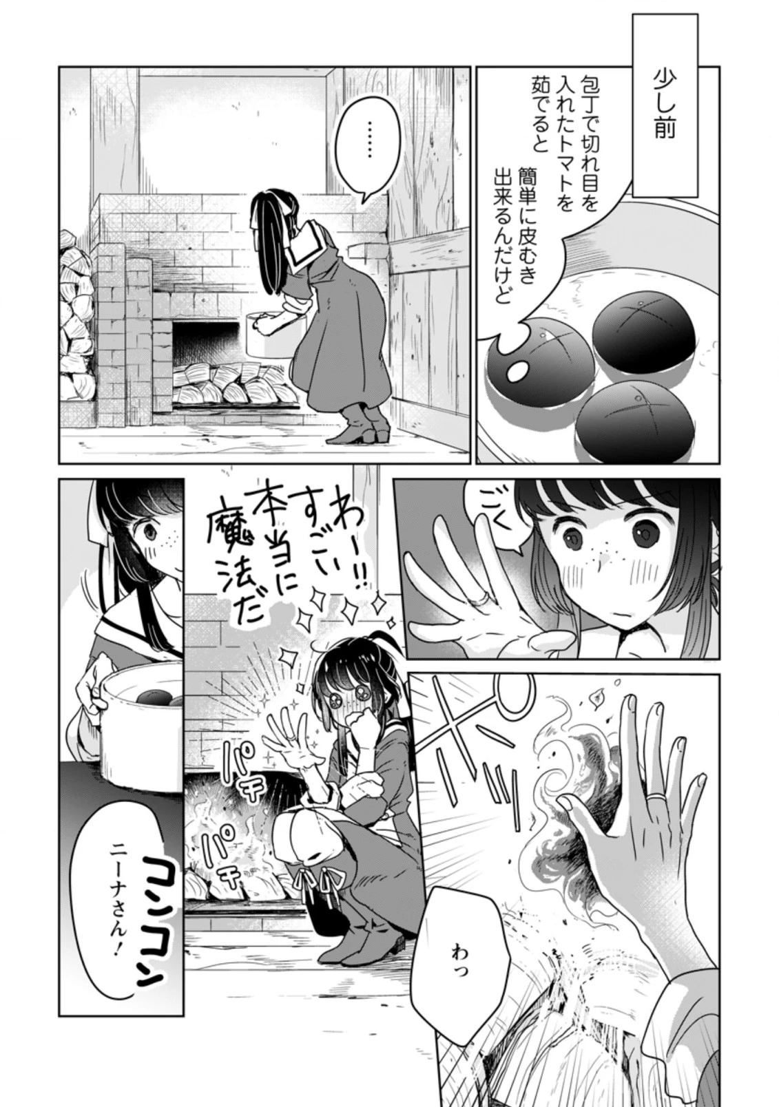 聖女じゃないと追放されたので、もふもふ従者(聖獣)とおにぎりを握る 第6.1話 - 4