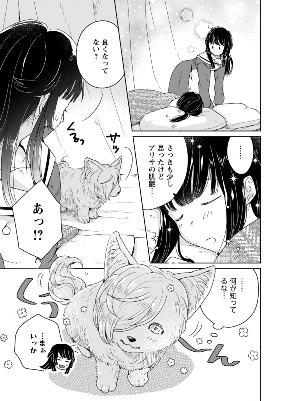 聖女じゃないと追放されたので、もふもふ従者(聖獣)とおにぎりを握る 第4.3話 - 8