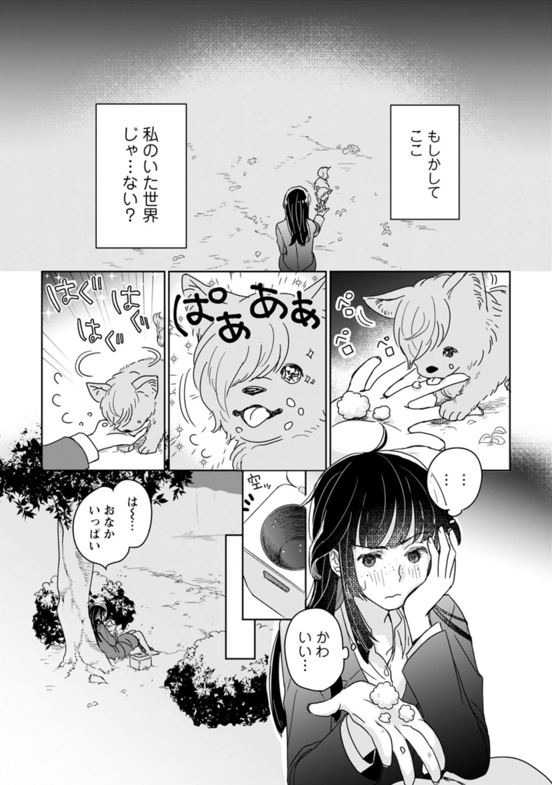 聖女じゃないと追放されたので、もふもふ従者(聖獣)とおにぎりを握る 第1.2話 - 3