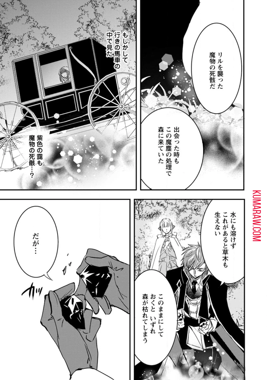 「お前が代わりに死ね」と言われた私。妹の身代わりに冷酷な辺境伯のもとへ嫁ぎ、幸せを手に入れる 第5.1話 - 11