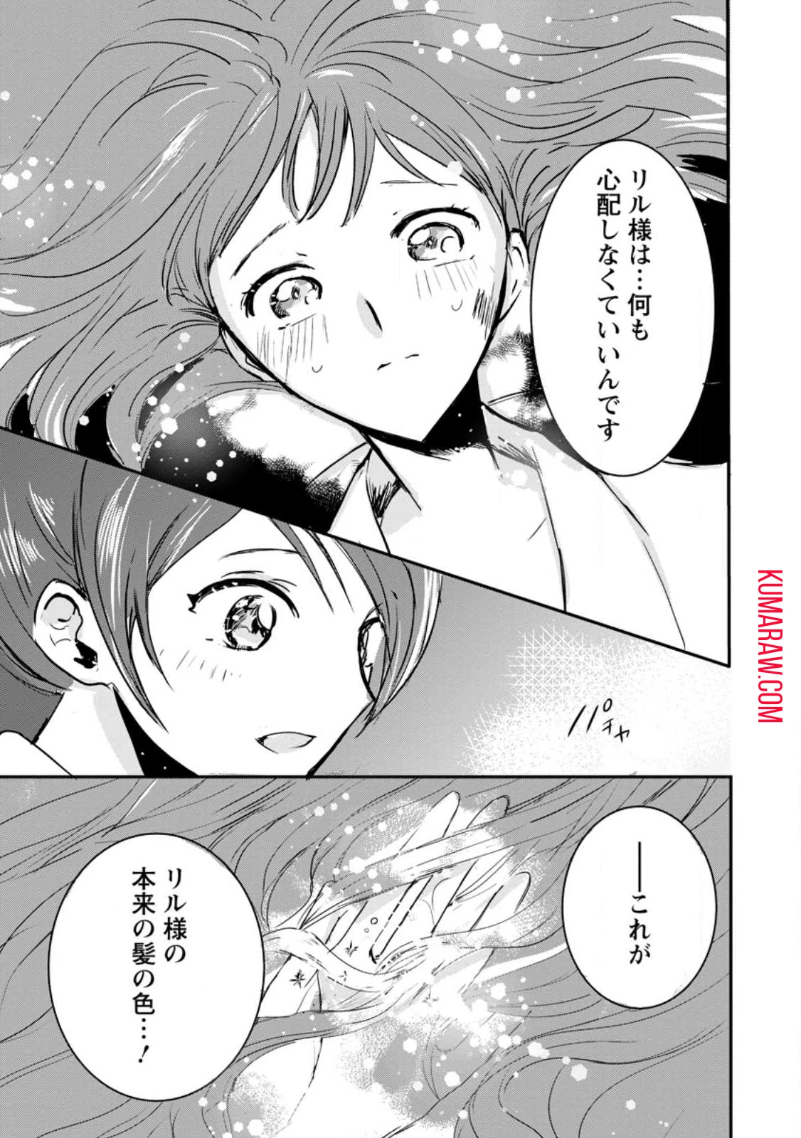 「お前が代わりに死ね」と言われた私。妹の身代わりに冷酷な辺境伯のもとへ嫁ぎ、幸せを手に入れる 第4.2話 - 11