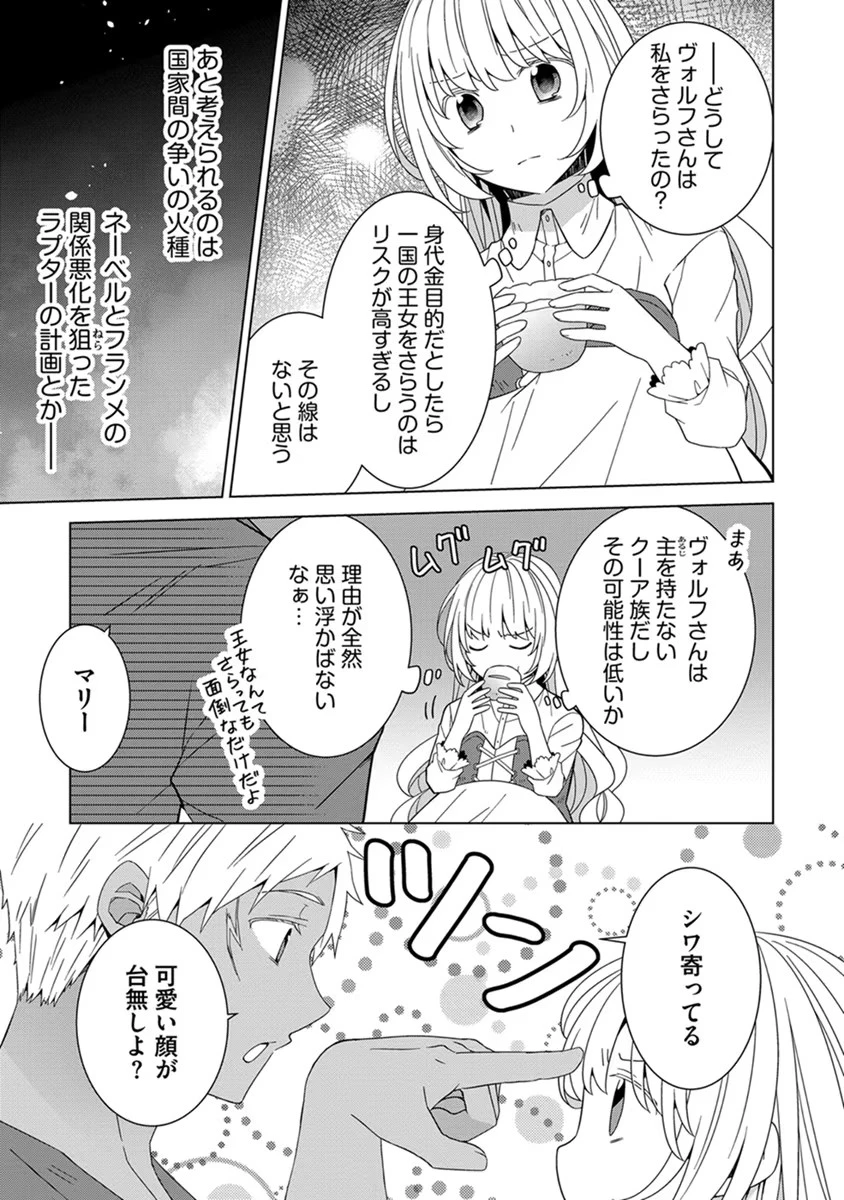 転生王女は今日も旗を叩き折る 第43話 - 11