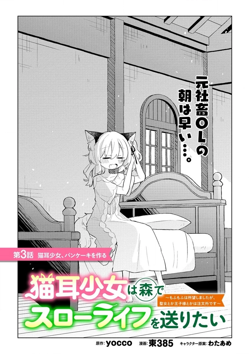 猫耳少女は森でスローライフを送りたい ～もふもふは所望しましたが、聖女とか王子様とかは注文外です～ 第3話 - 1