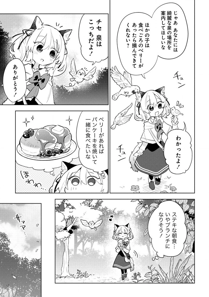 猫耳少女は森でスローライフを送りたい ～もふもふは所望しましたが、聖女とか王子様とかは注文外です～ 第3話 - 5