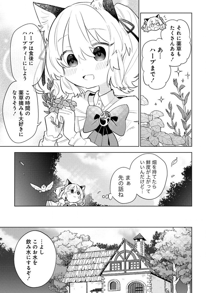 猫耳少女は森でスローライフを送りたい ～もふもふは所望しましたが、聖女とか王子様とかは注文外です～ 第3話 - 7