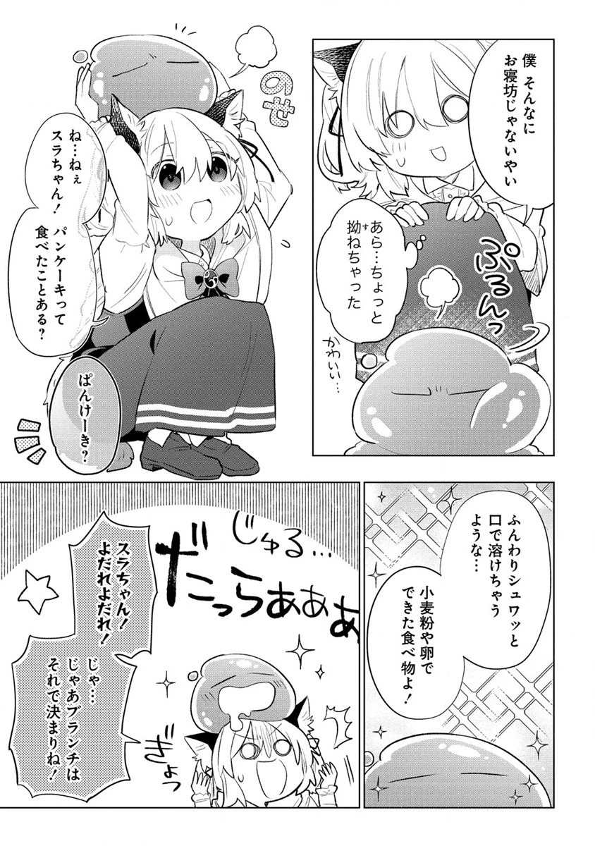 猫耳少女は森でスローライフを送りたい ～もふもふは所望しましたが、聖女とか王子様とかは注文外です～ 第3話 - 9