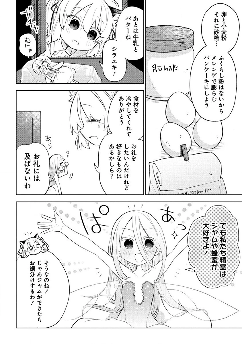 猫耳少女は森でスローライフを送りたい ～もふもふは所望しましたが、聖女とか王子様とかは注文外です～ 第3話 - 10