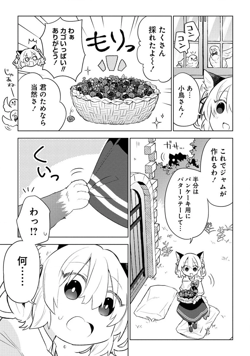 猫耳少女は森でスローライフを送りたい ～もふもふは所望しましたが、聖女とか王子様とかは注文外です～ 第3話 - 11