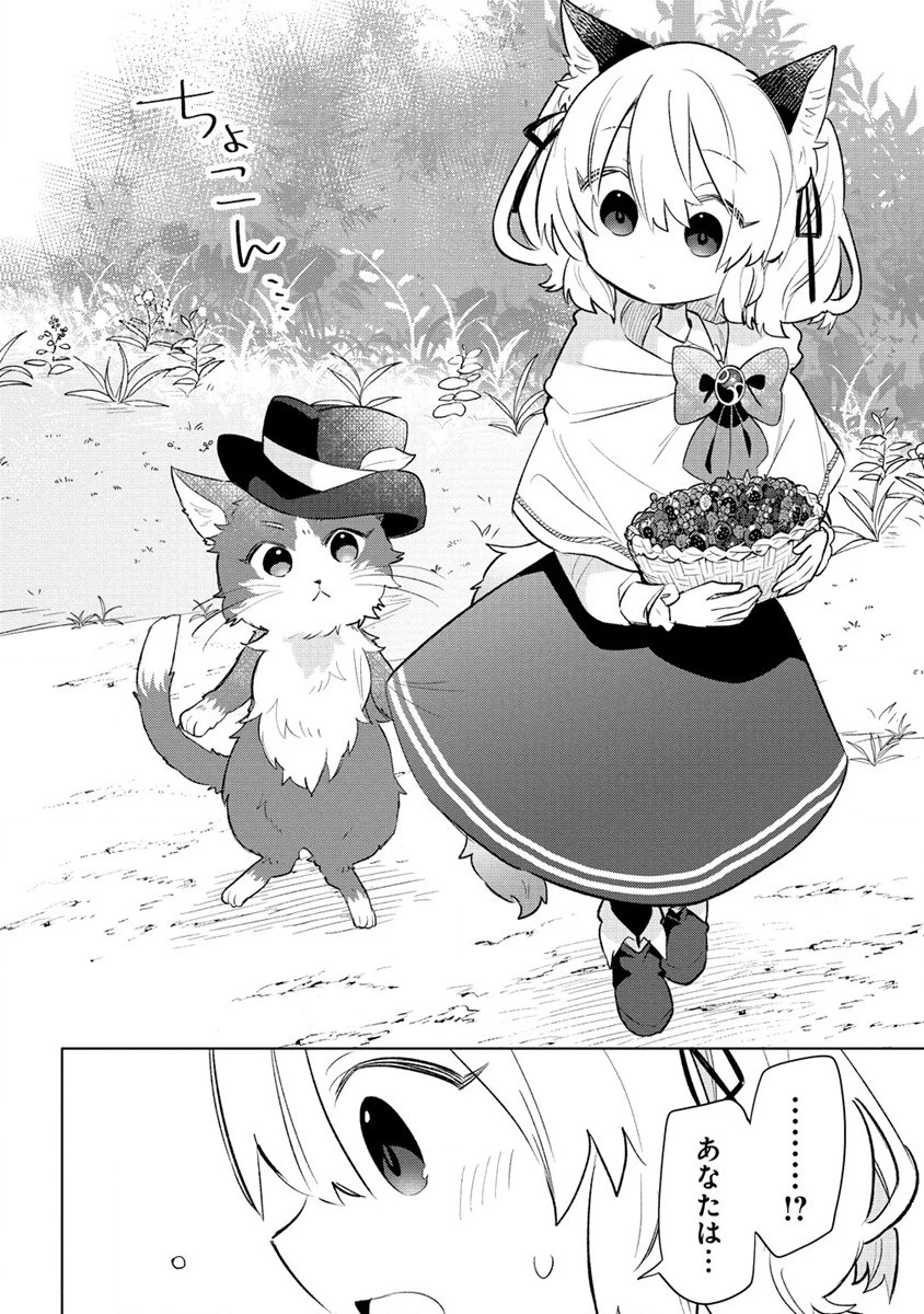 猫耳少女は森でスローライフを送りたい ～もふもふは所望しましたが、聖女とか王子様とかは注文外です～ 第3話 - 12