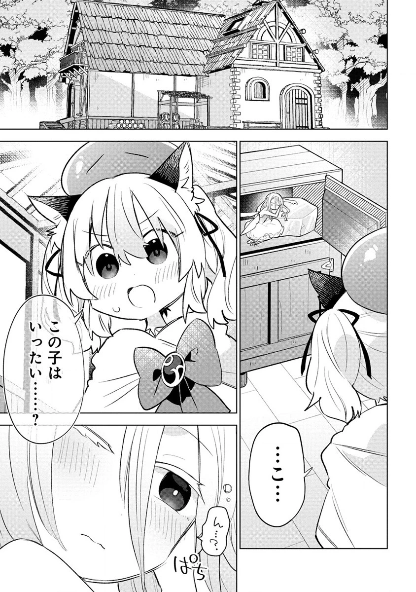 猫耳少女は森でスローライフを送りたい ～もふもふは所望しましたが、聖女とか王子様とかは注文外です～ 第2話 - 1