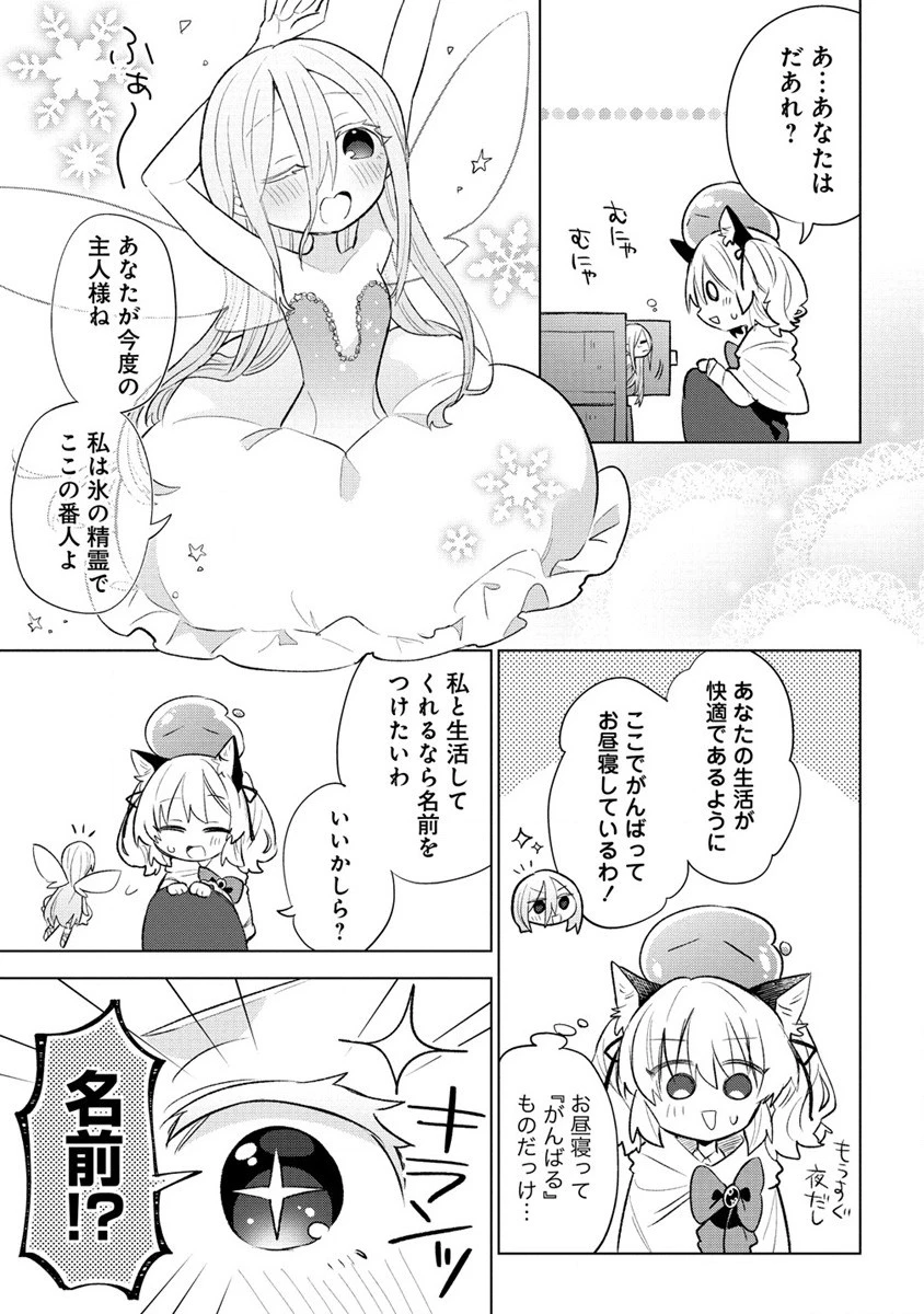 猫耳少女は森でスローライフを送りたい ～もふもふは所望しましたが、聖女とか王子様とかは注文外です～ 第2話 - 3