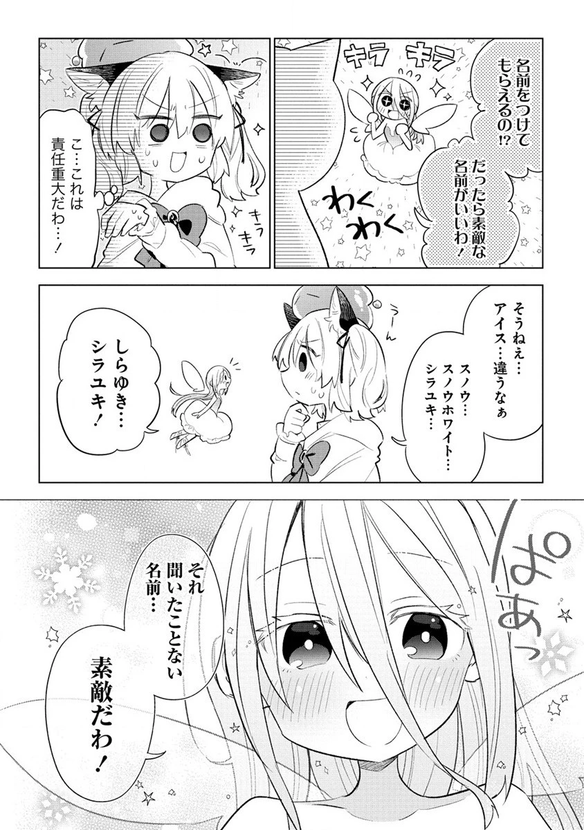 猫耳少女は森でスローライフを送りたい ～もふもふは所望しましたが、聖女とか王子様とかは注文外です～ 第2話 - 4