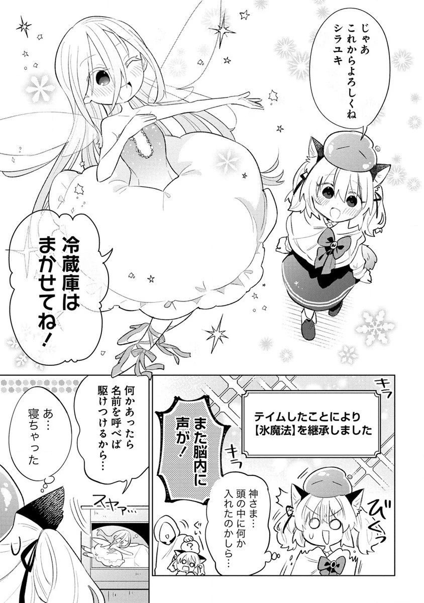 猫耳少女は森でスローライフを送りたい ～もふもふは所望しましたが、聖女とか王子様とかは注文外です～ 第2話 - 5