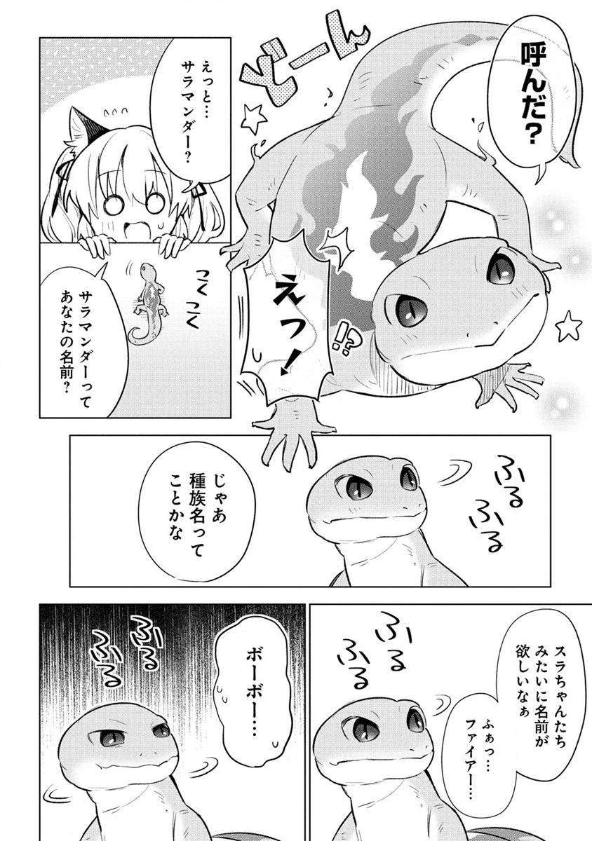 猫耳少女は森でスローライフを送りたい ～もふもふは所望しましたが、聖女とか王子様とかは注文外です～ 第2話 - 8