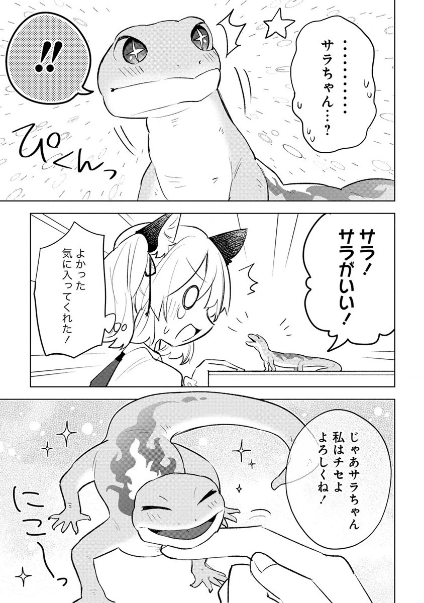 猫耳少女は森でスローライフを送りたい ～もふもふは所望しましたが、聖女とか王子様とかは注文外です～ 第2話 - 9