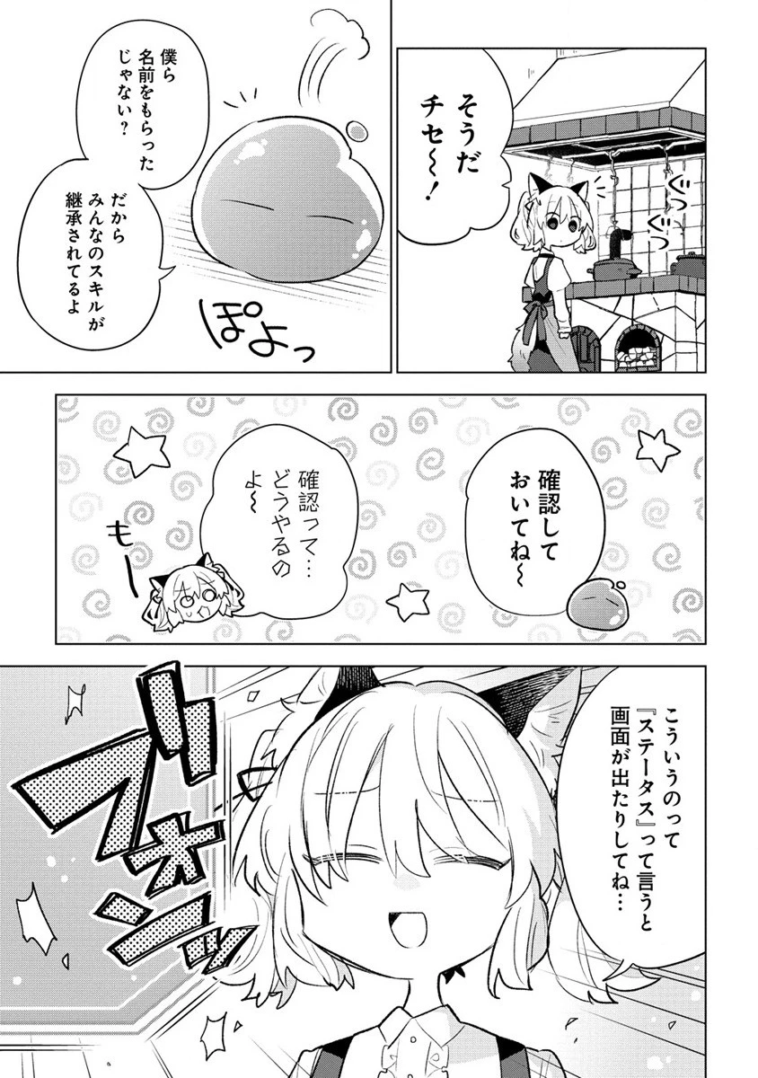 猫耳少女は森でスローライフを送りたい ～もふもふは所望しましたが、聖女とか王子様とかは注文外です～ 第2話 - 11