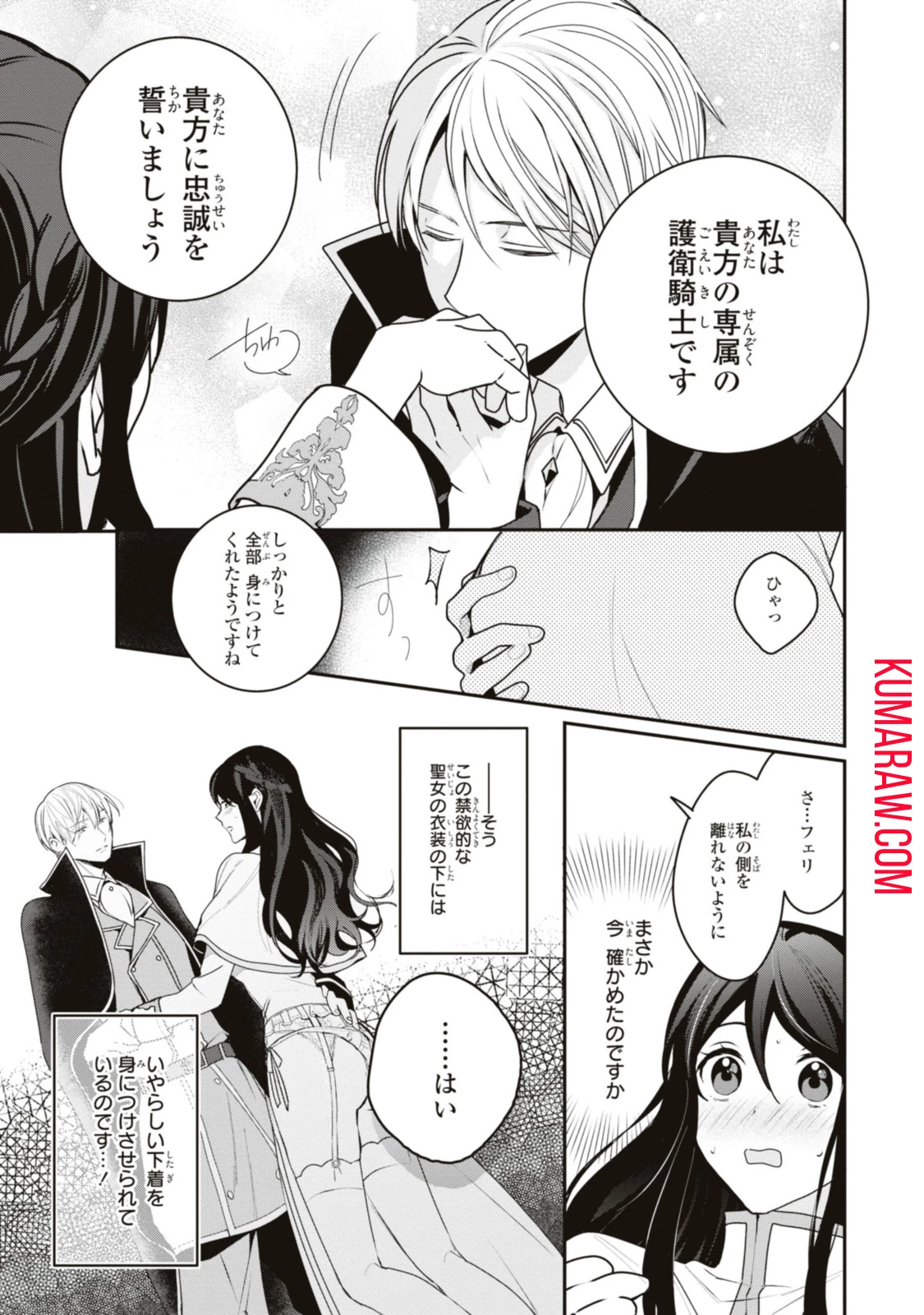 姫様、無理です！～今をときめく宰相補佐様と関係をもつなんて～ 第15.1話 - 9