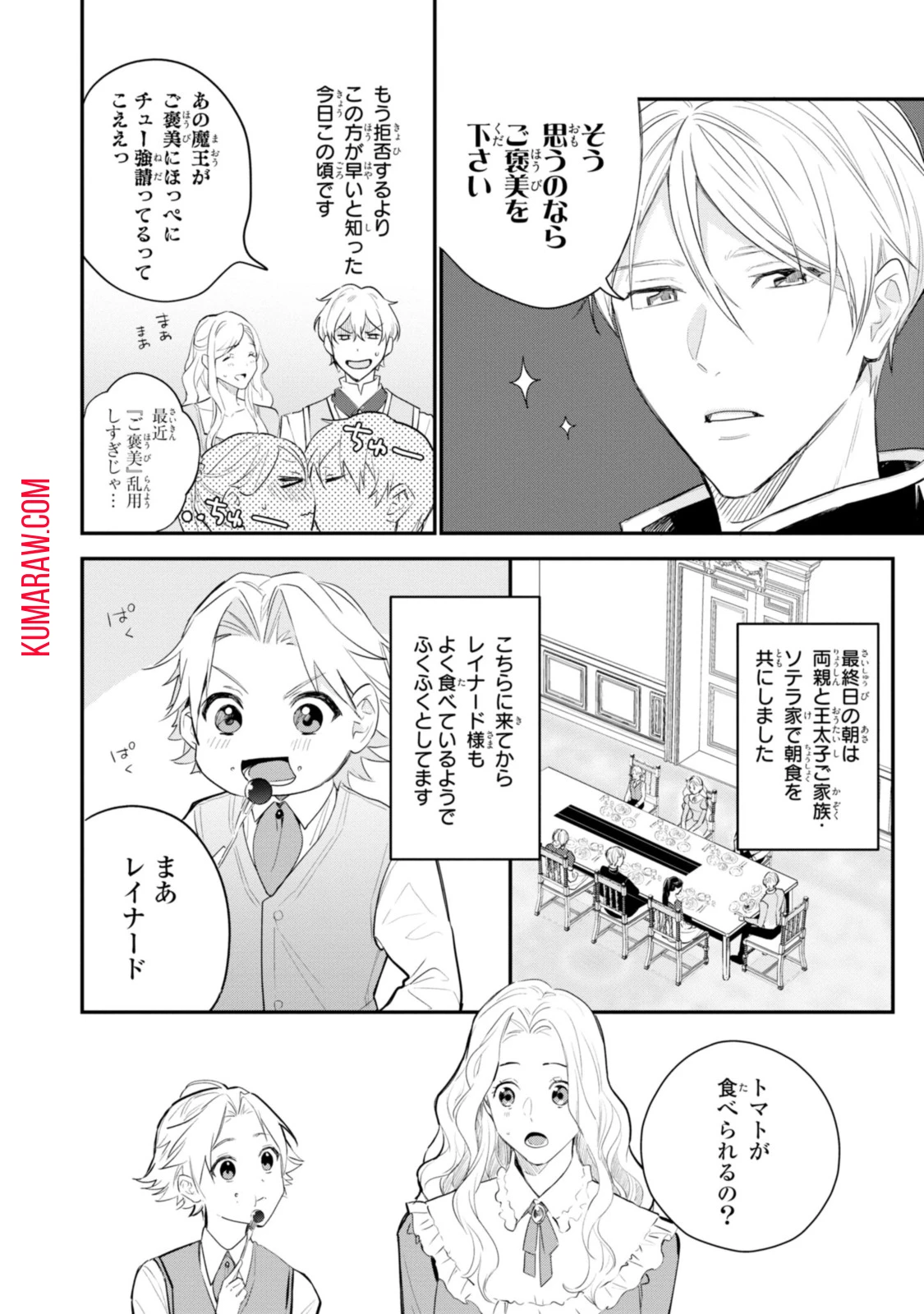 姫様、無理です！～今をときめく宰相補佐様と関係をもつなんて～ 第13.1話 - 8