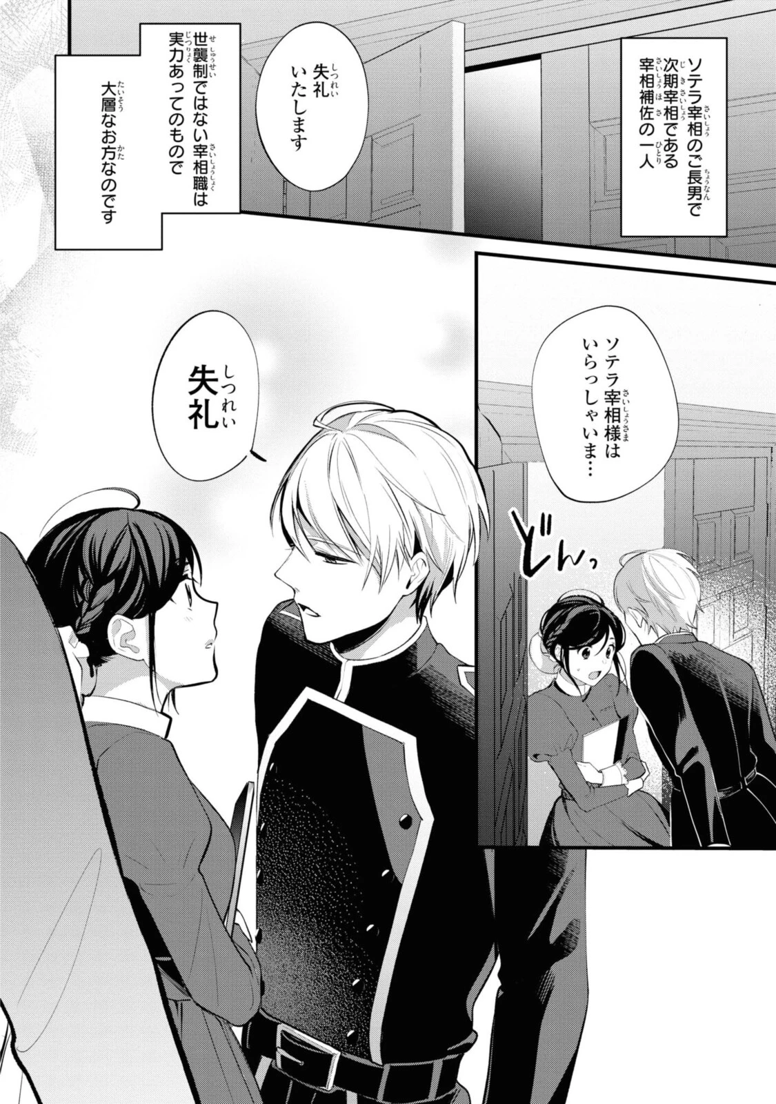 姫様、無理です！～今をときめく宰相補佐様と関係をもつなんて～ 第1.1話 - 6