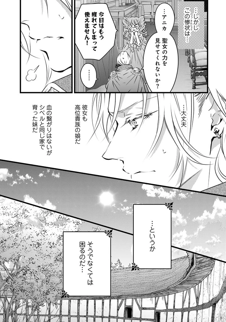 追放された騎士好き聖女は今日も幸せ 真の聖女らしい義妹をいじめたという罪で婚約破棄されたけど、憧れの騎士団の寮で働けることになりました！ 第5話 - 5