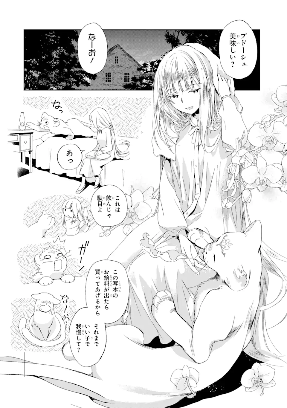 私のお母様は追放された元悪役令嬢でした 平民ブスメガネの下剋上 第6話 - 12