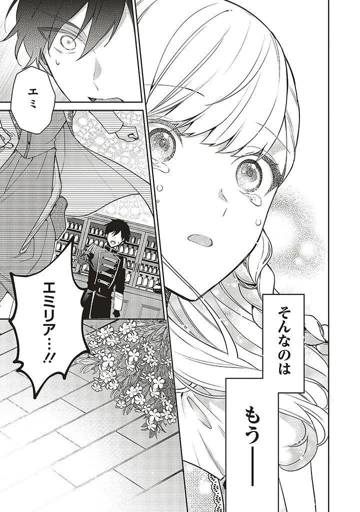 Douyara Watashi ga Honmono desu 追放された聖女ですが、どうやら私が本物です 追放された聖女ですが、どうやら私が本物です　前世薬師は“癒し”の薬で救いたい！ 第4.3話 - 13